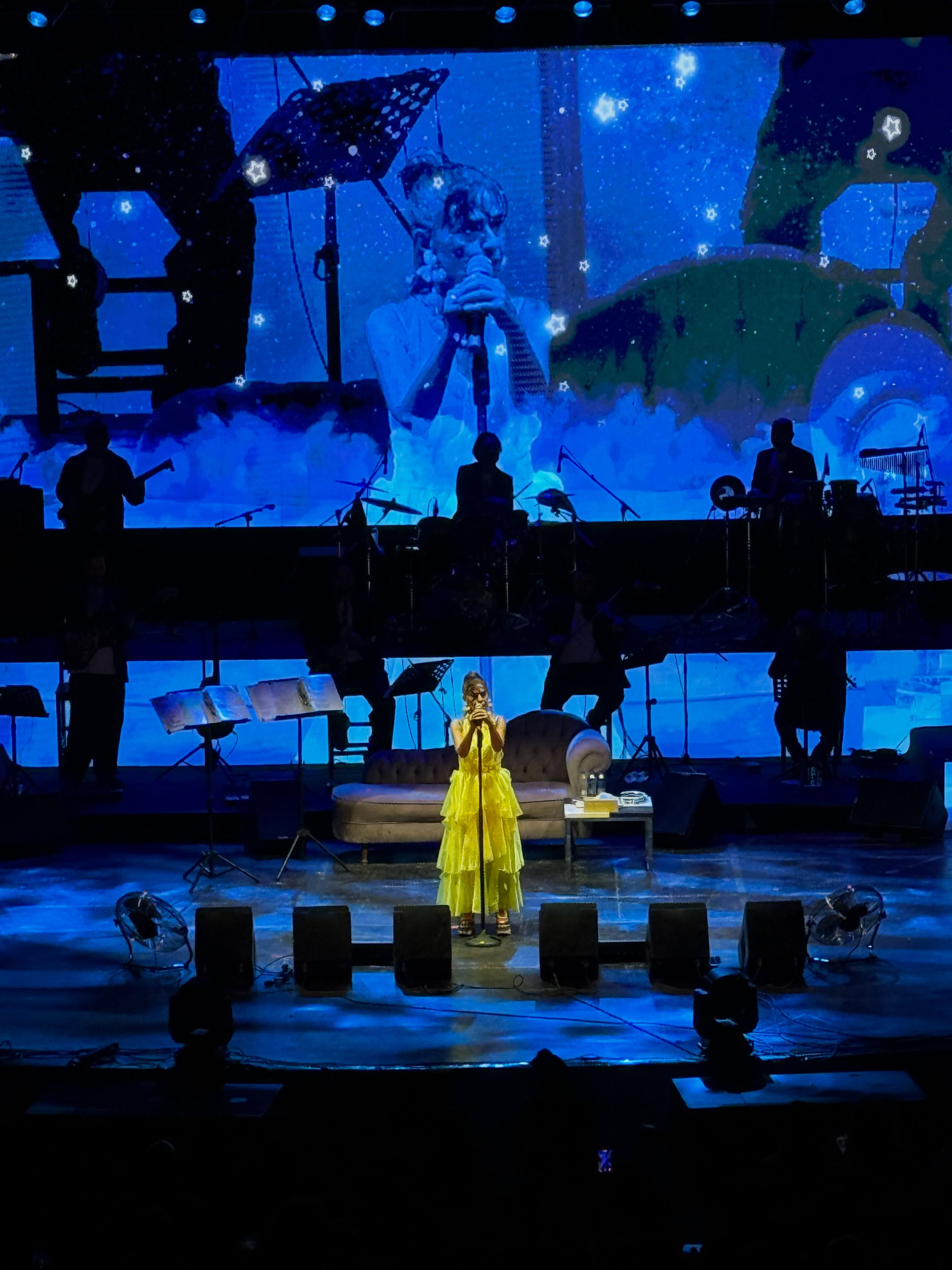 VKN VP1200IP at an Outdoor Concert in T&uuml;rkiye 